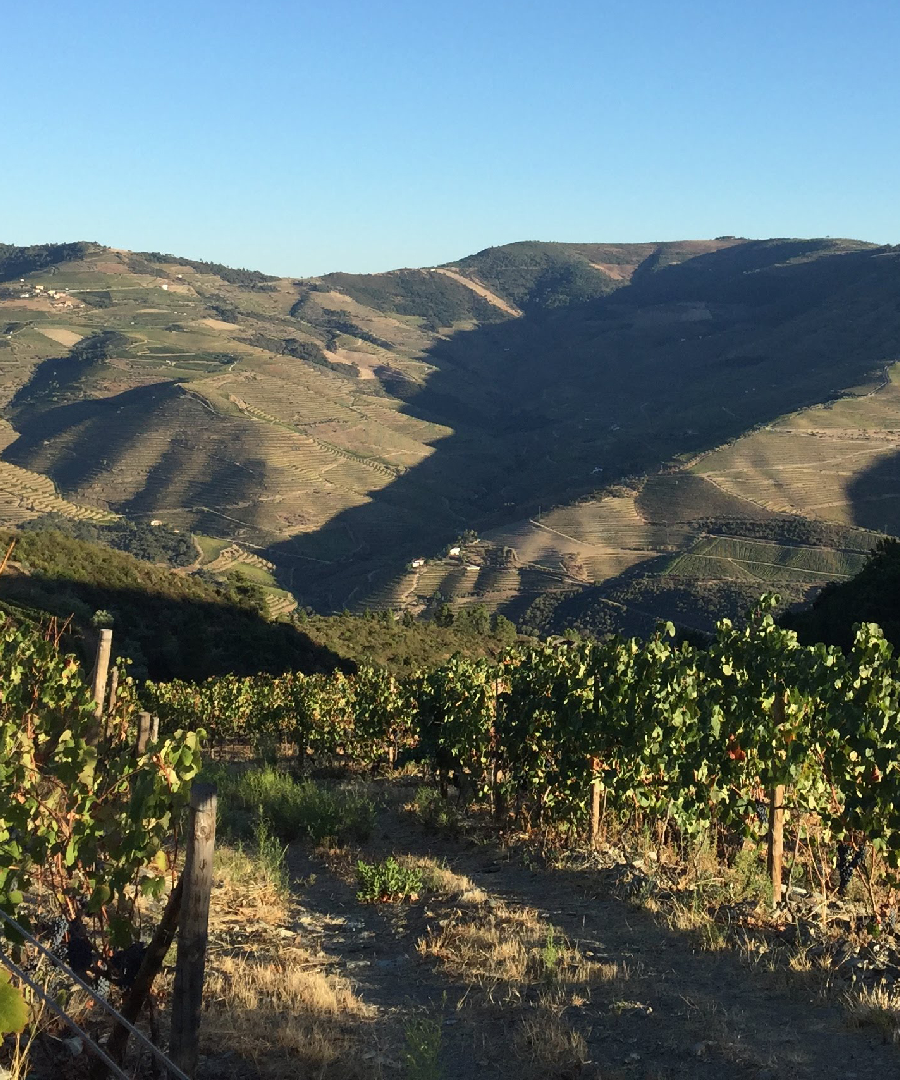 Portugalské příběhy – Veridicus